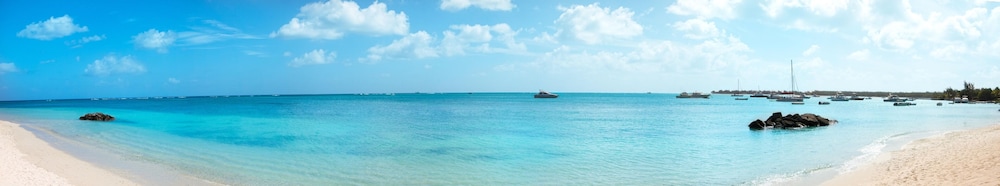 Beach/ocean view