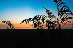 thumbnail: Beach