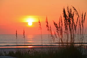 thumbnail: Beach