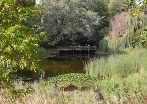 thumbnail: Lake