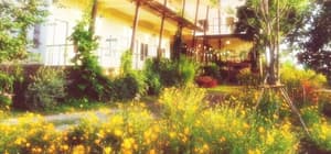 thumbnail: Property grounds