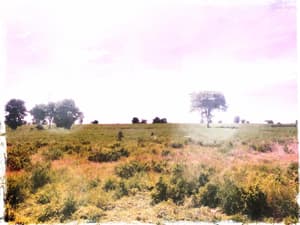 thumbnail: Property grounds