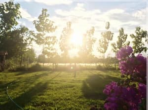 thumbnail: Property grounds