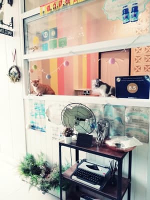 thumbnail: Interior