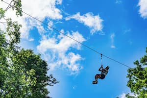 thumbnail: Ziplining