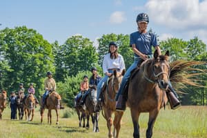 thumbnail: Horseback riding