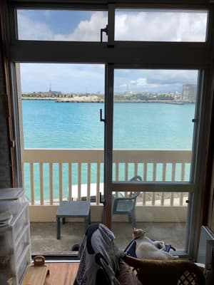 thumbnail: View from property