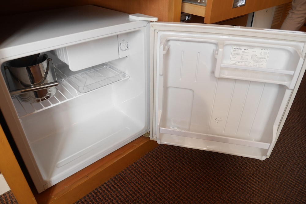 Mini-refrigerator
