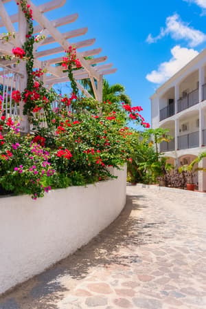thumbnail: Garden view