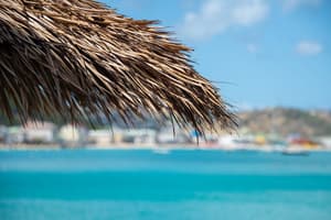 thumbnail: Beach/ocean view