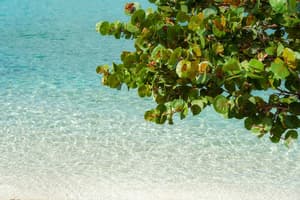 thumbnail: Water view