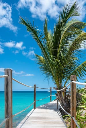 thumbnail: Beach/ocean view