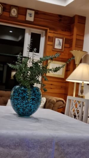 thumbnail: Dining room