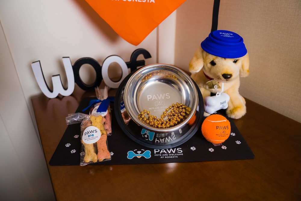 Pet-friendly amenities