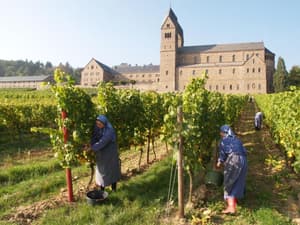 thumbnail: Winery