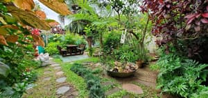 thumbnail: Property grounds