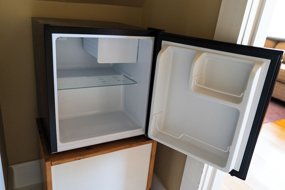 Mini-refrigerator