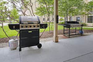 thumbnail: BBQ/picnic area