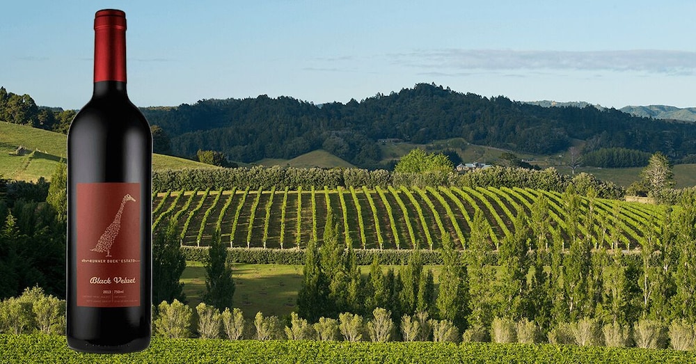 Vineyard
