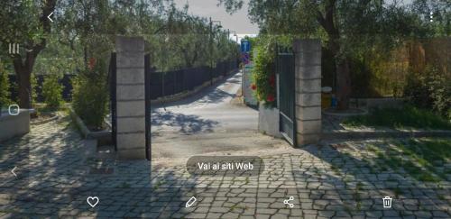 446721932.jpg