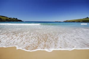 thumbnail: Beach