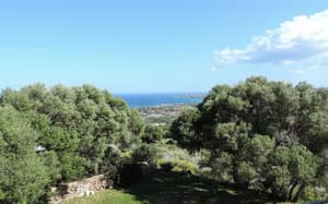 thumbnail: View from property