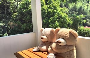 thumbnail: Terrace/patio