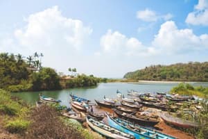 thumbnail: General view