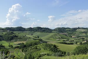 thumbnail: Land view from property