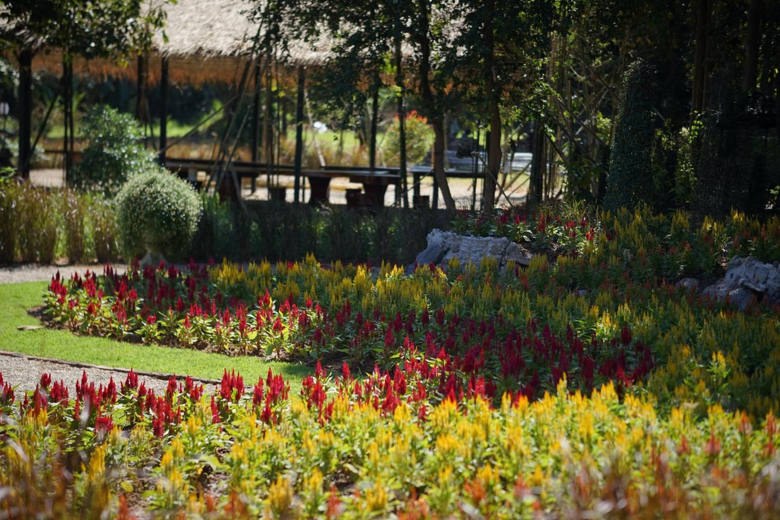 Play area