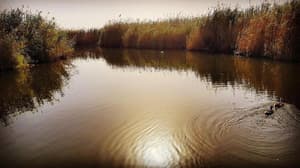 thumbnail: General view