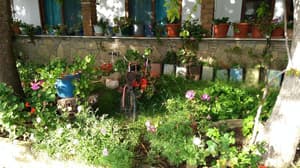 thumbnail: General view