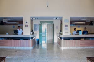 thumbnail: Reception