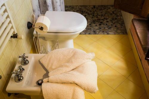 259276894.jpg