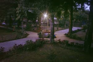 thumbnail: Dining