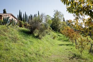 thumbnail: Garden view