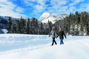 thumbnail: Snow and ski sports