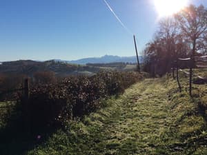thumbnail: View from property