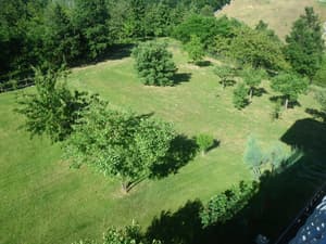thumbnail: Property grounds