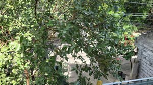 thumbnail: General view