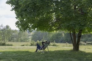 thumbnail: Terrace/patio