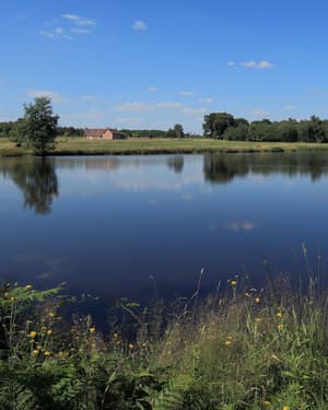 thumbnail: Lake