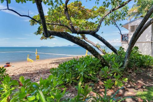 71817916.jpg