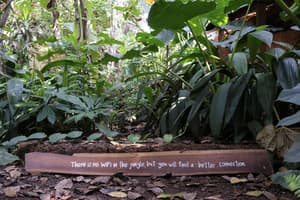 thumbnail: Garden