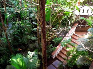 thumbnail: Property grounds