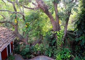 thumbnail: Courtyard view