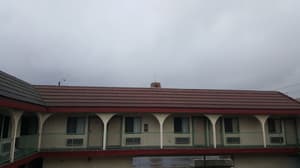 Bellflower thumbnail