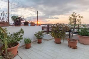 thumbnail: Terrace