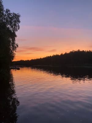 Lomavekarit