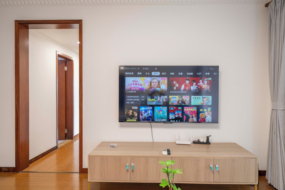 Television